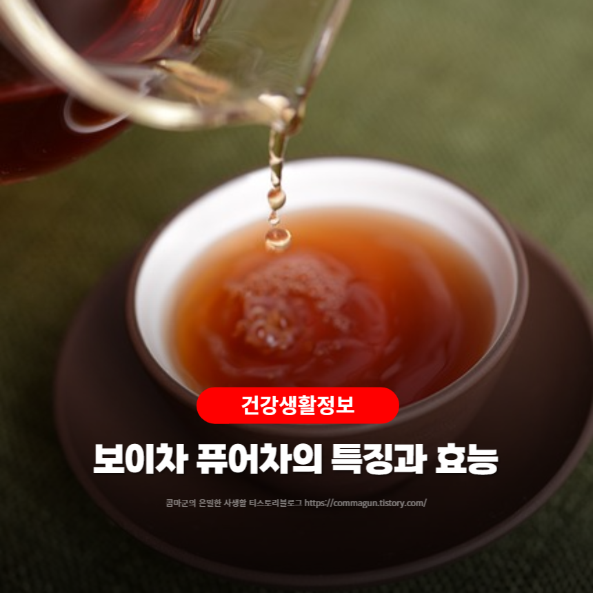  건강생활정보 - 보이차 퓨어차의 효능