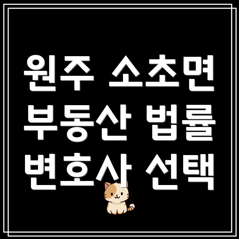 원주시 소초면 부동산 법률 자문