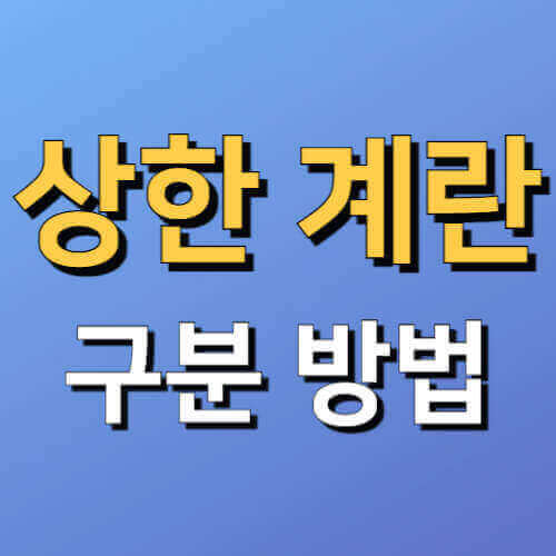 상한 계란 구분 방법