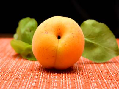 살구 효능 10가지 25