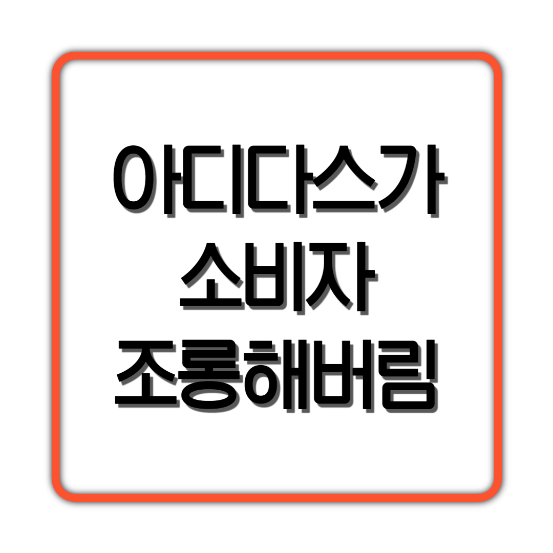  아디다스가 소비자 조롱함