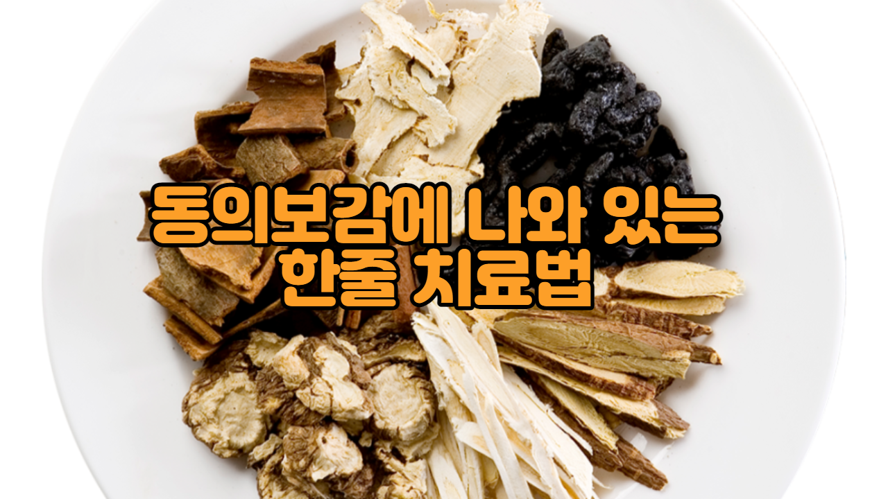  동의보감에 나와 있는 한 줄 치료법