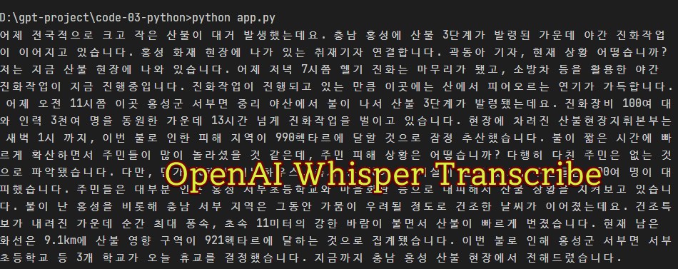 Whisper API Transcribe speech to text