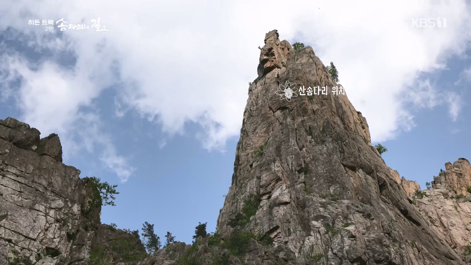 다큐 인사이트.E02.231215p.H264-F1RST.mp4_20231216_182908.875.jpg