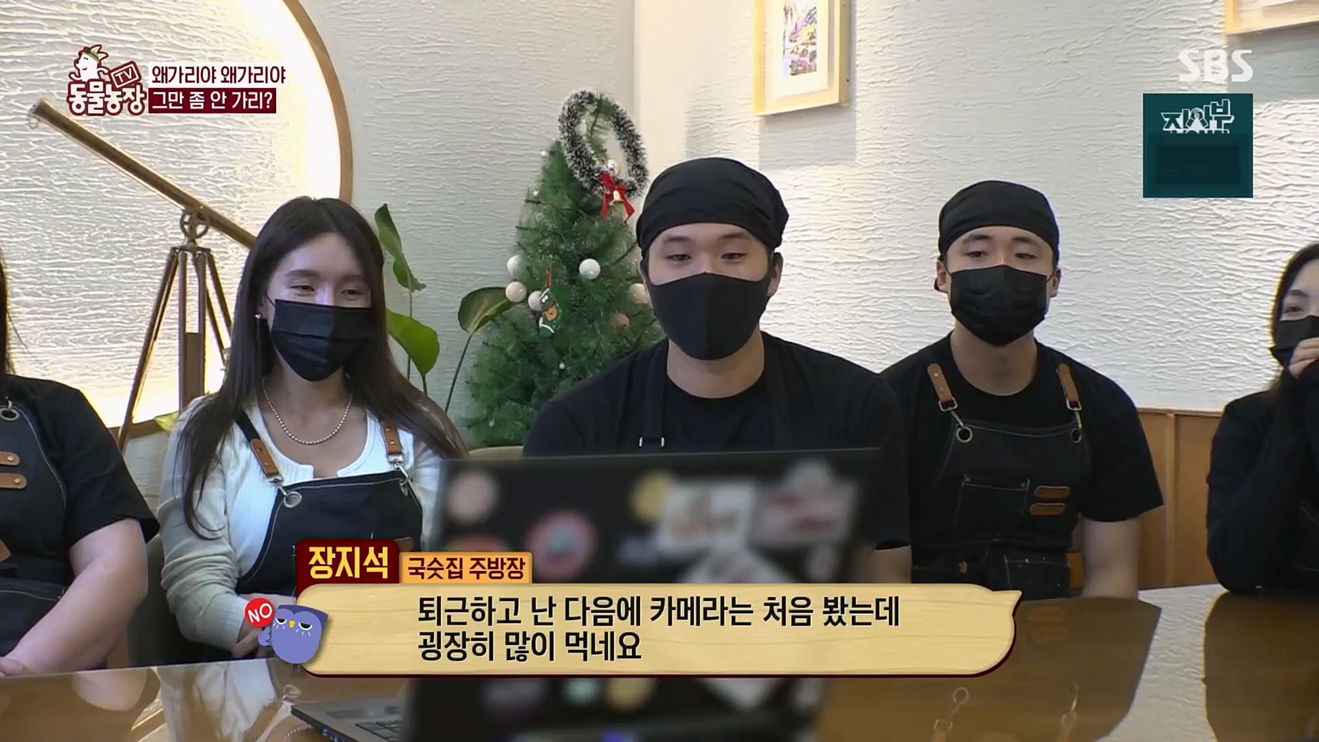 TV 동물농장.E1103.230108p.H264-F1RST.mp4_20230108_174634.977.jpg