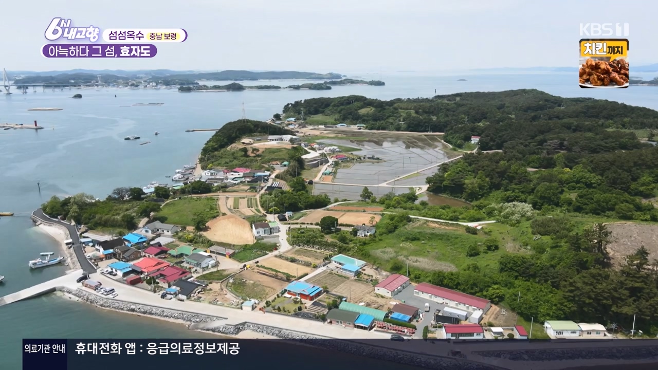 6시 내고향.E8057.240525p-NEXT.mp4_20240525_162222.455.jpg