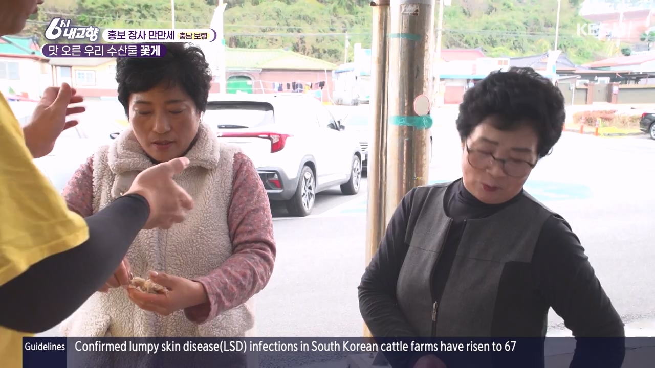 6시 내고향.E7910.231032p-NEXT.mp4_20231101_204607.378.jpg