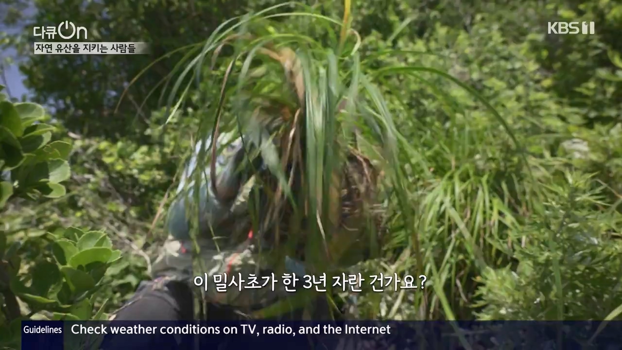 다큐 온.E206.230723p-NEXT.mp4_20230724_214227.451.jpg