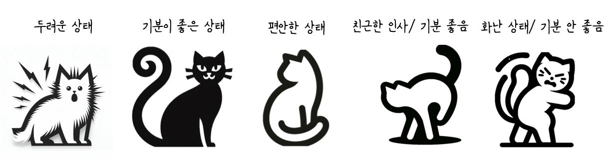 고양이-꼬리-감정-집사