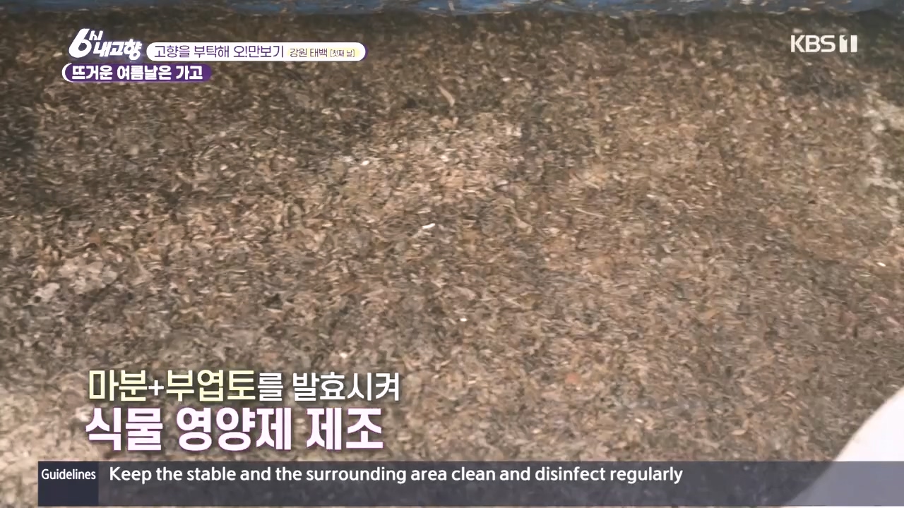 6시 내고향.E7897.231025p.H264-F1RST.mp4_20231025_202912.913.jpg