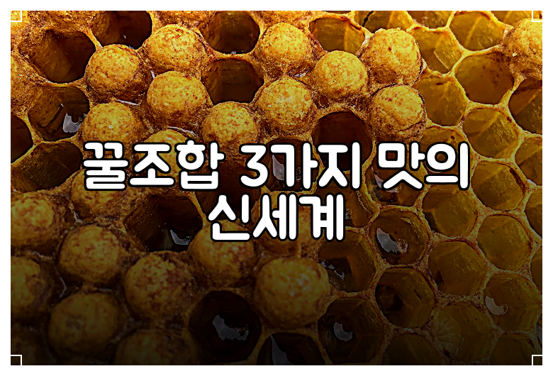 꿀조합 3가지 맛의 신세계