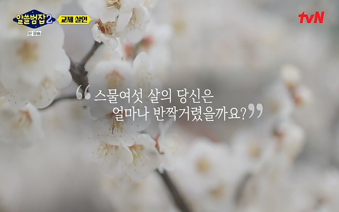알쓸범잡 2.E14.220418p-NEXT.mp4_20220418_184116.983.jpg