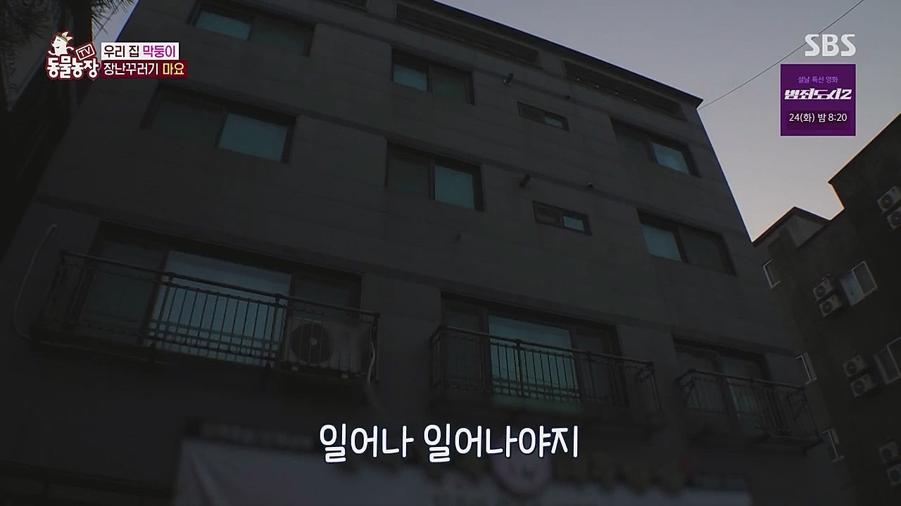 TV 동물농장.E1104.230123p.WANNA.mp4_20230123_195414.882.jpg