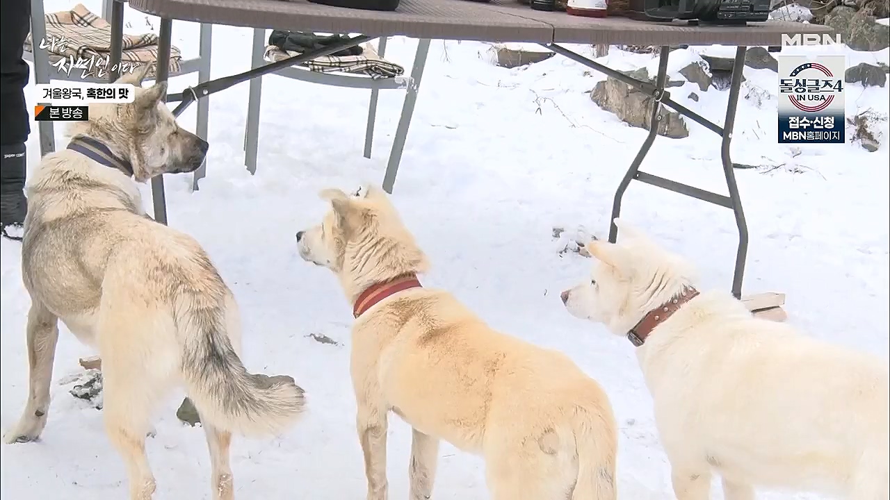 나는 자연인이다.E536.230112p.H264-F1RST.mp4_20230112_193507.477.jpg