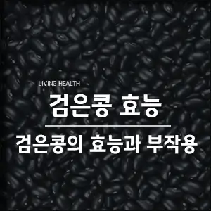  검은콩 효능, 건강을 지키는 블랙푸드의 대표주자