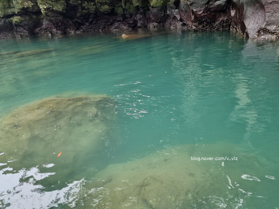 함께라면 전통테우 탑승 후기 제주 쇠소깍 어린 아이들과 30