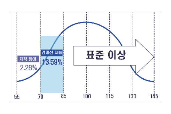 경계성 지능장애