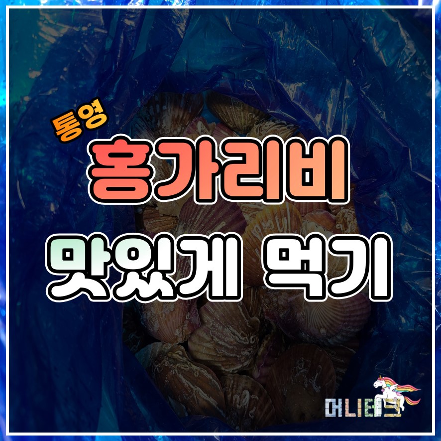  집에서 제철음식 즐기기 :: 홍가리비찜, 치즈구이 초간단 요리/레시피
