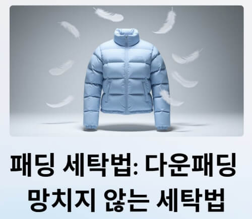 패딩 이미지
