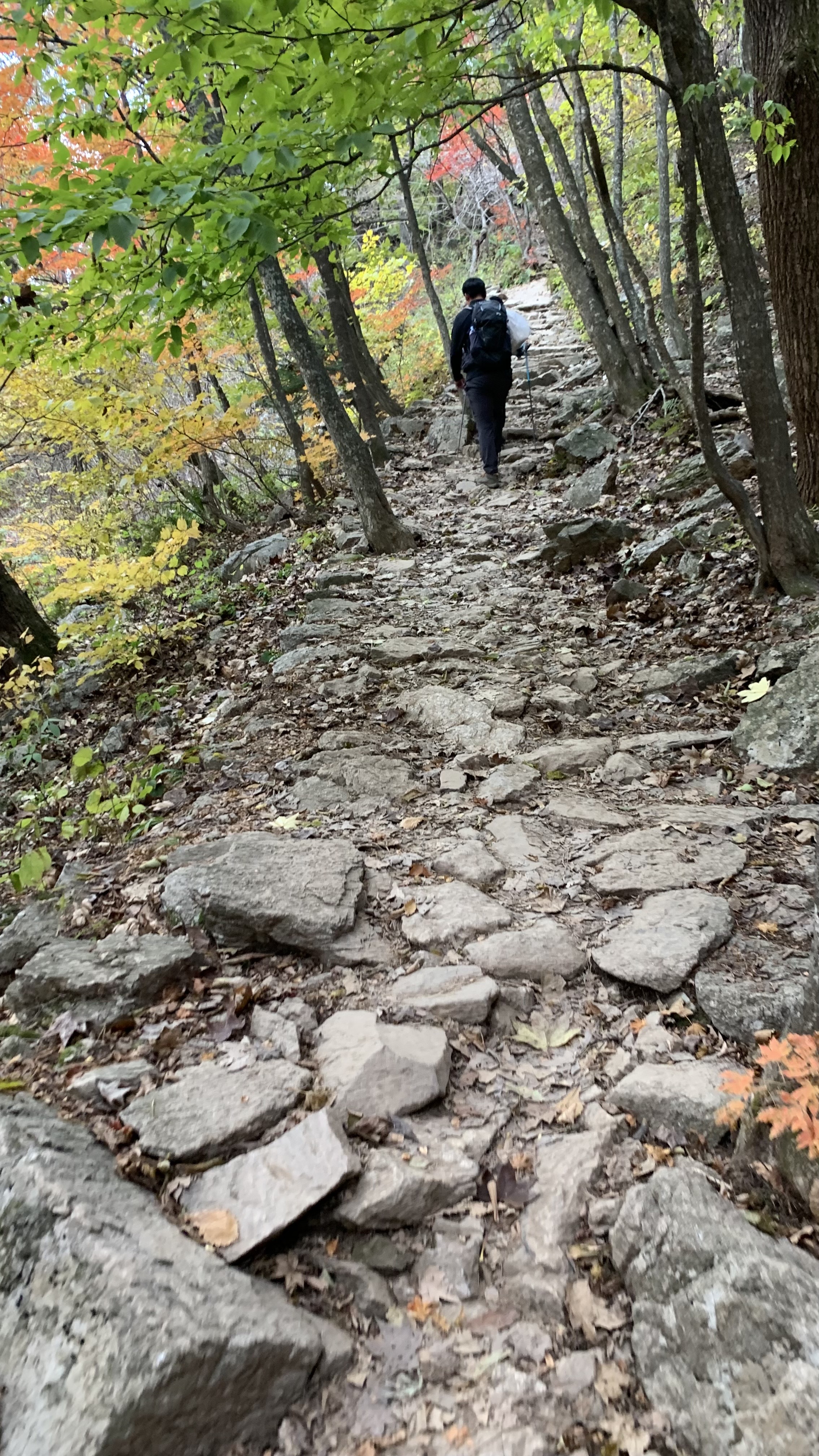 길고 긴 설악산 오색 하산길