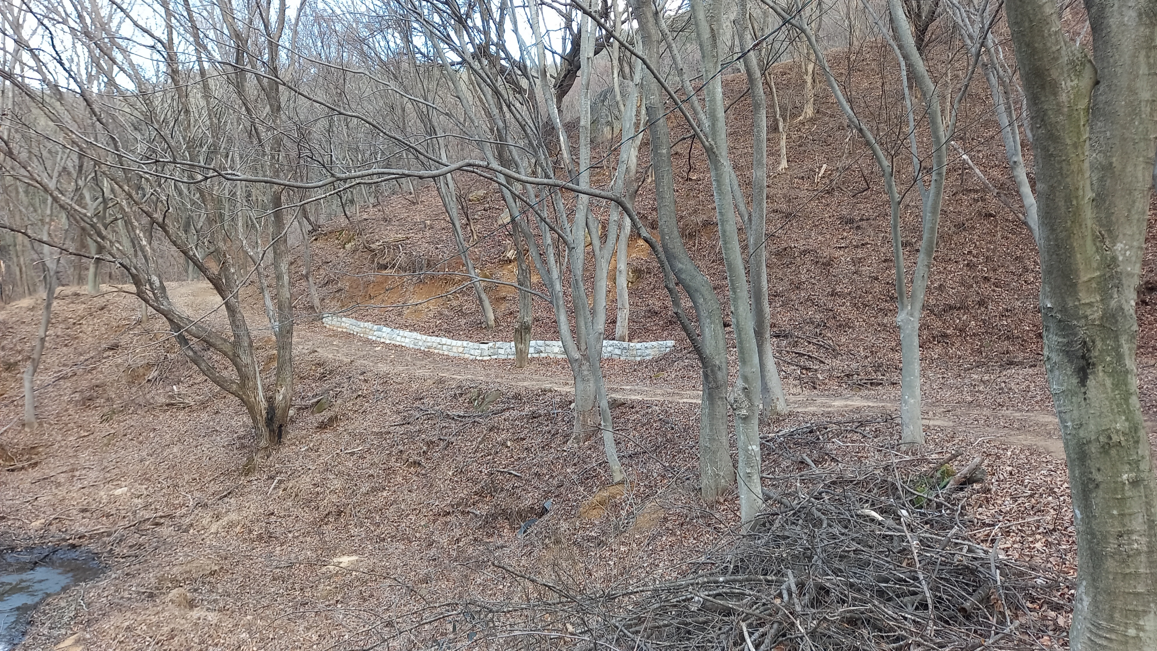 영상일기/20230216/나대자연 32