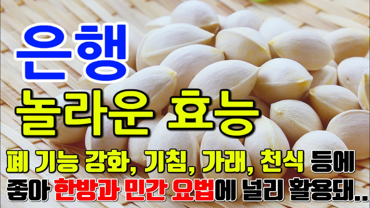 은행의 놀라운 효능