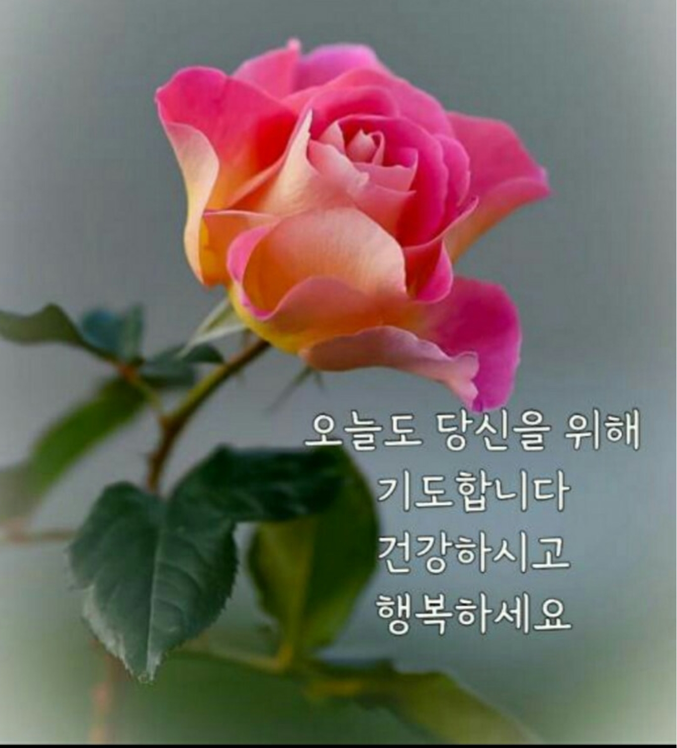  소중한 사람에게 보내는 글