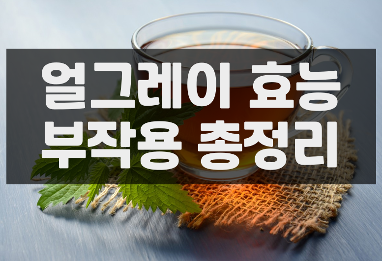  얼그레이 효능 부작용 총정리