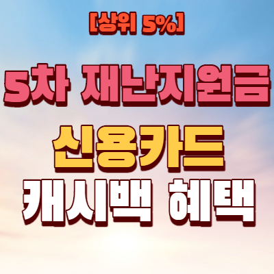  5차 재난지원금 캐시백 (전국민 대상)