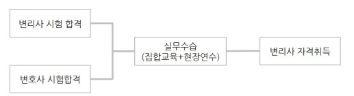 변리사(변리사는 어떻게 일하는가) 6