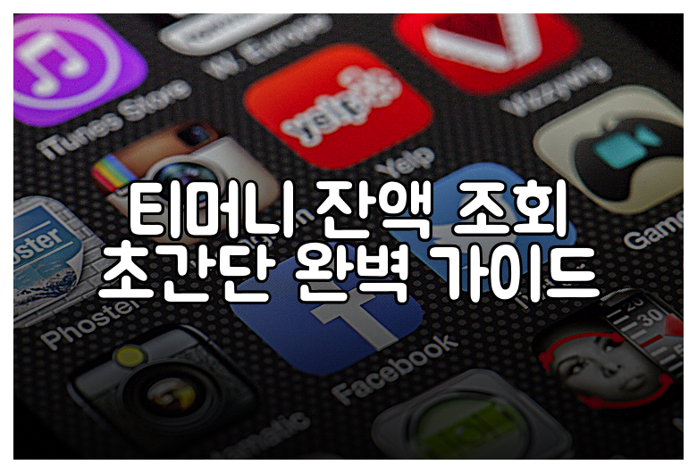 티머니 잔액 조회 초간단 완벽 가이드