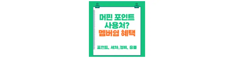  머핀 포인트 사용처 및 멤버십 혜택(포인트,세차,정비,차량용품)