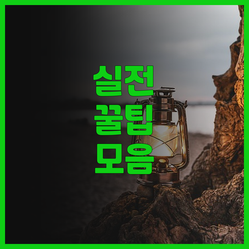 푸위안징서 호텔(리장 고성 남문) 후