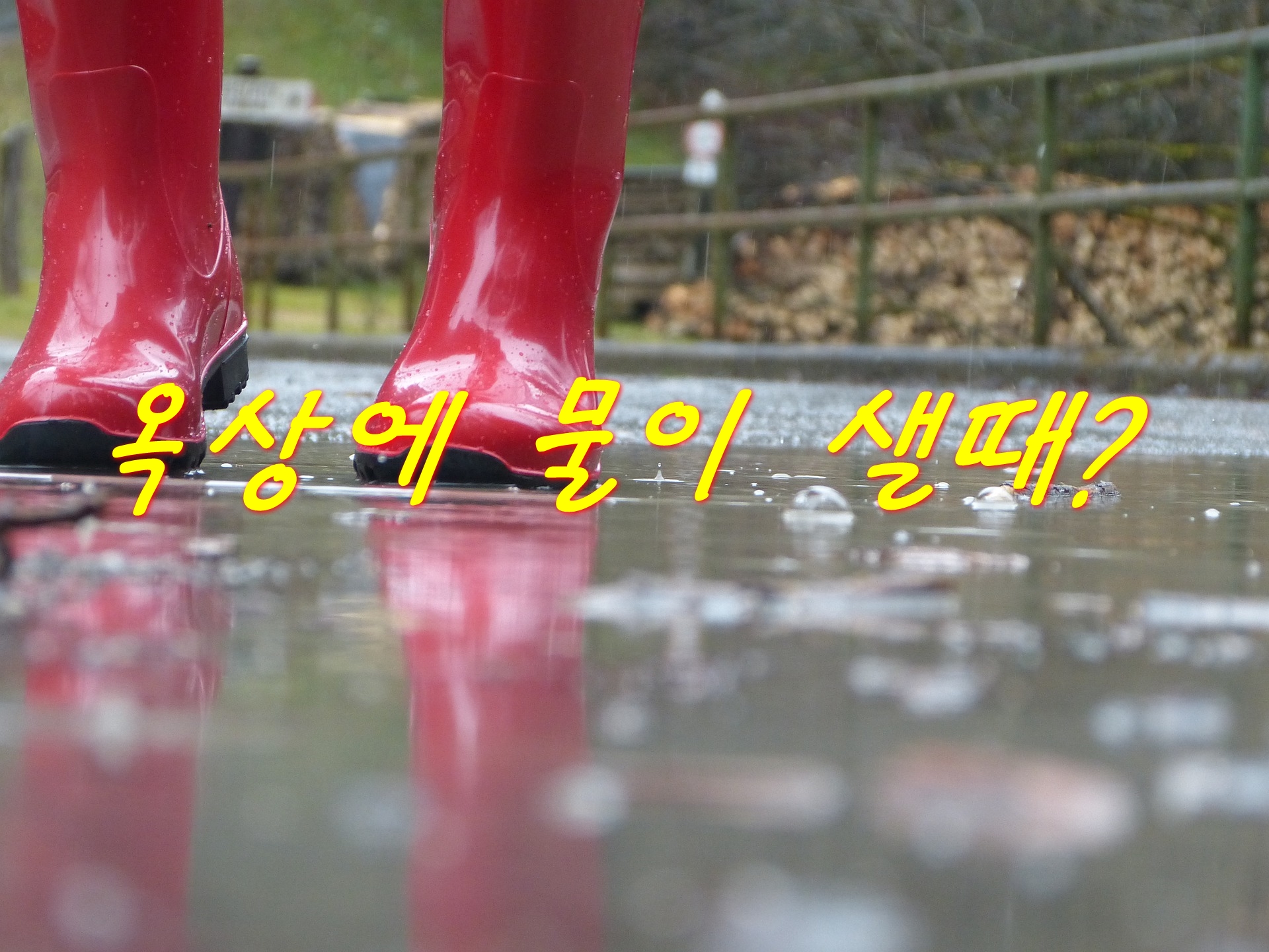  옥상방수공사의 목적과 의미~ 언제하는 것이 좋을까요?