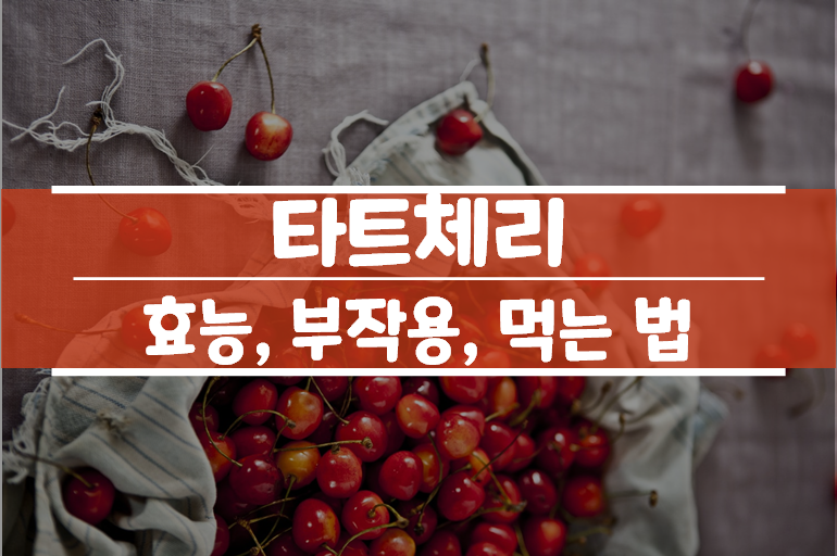  타트체리 효능
