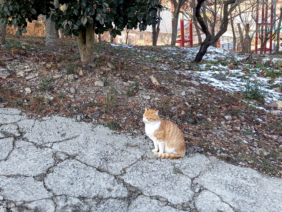 img.jpg