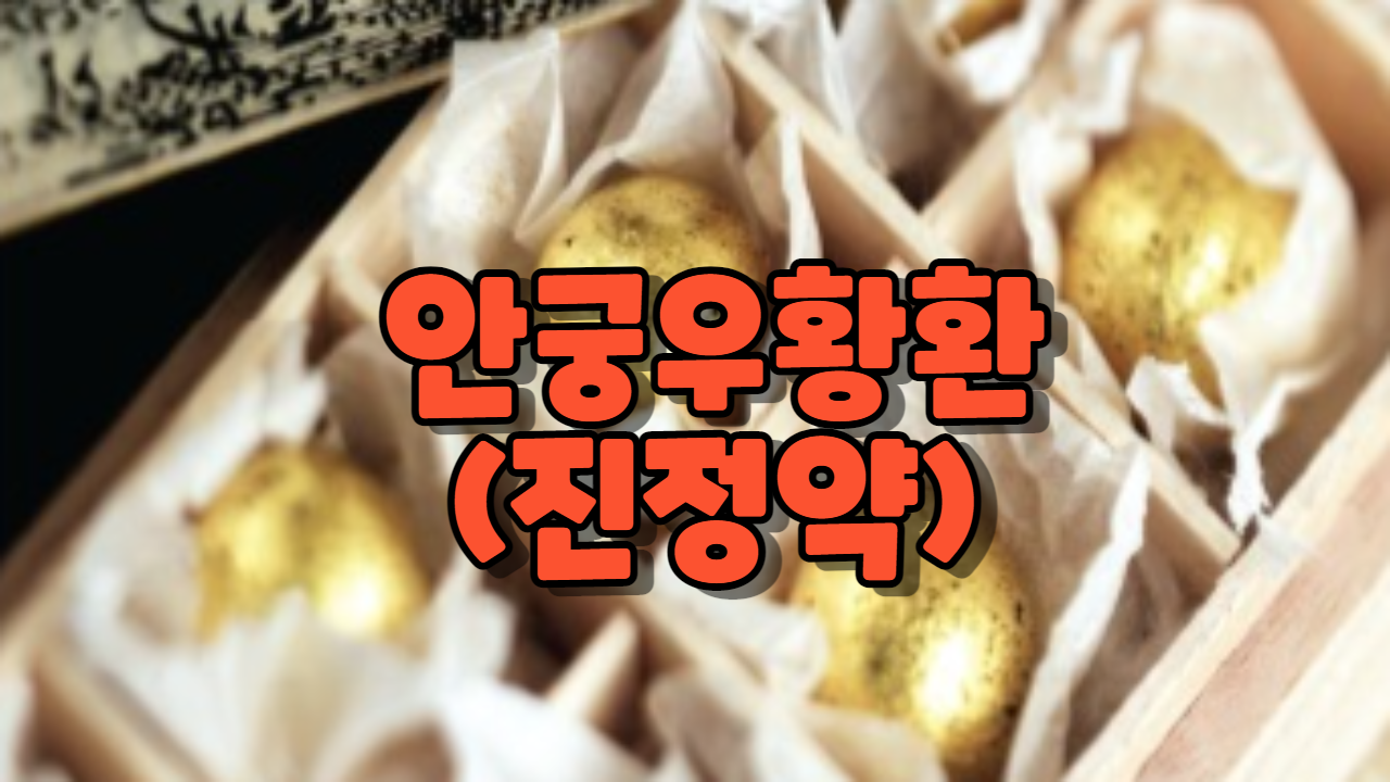  안궁우황환(진정약)