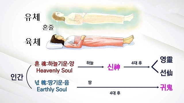 Daum 카페