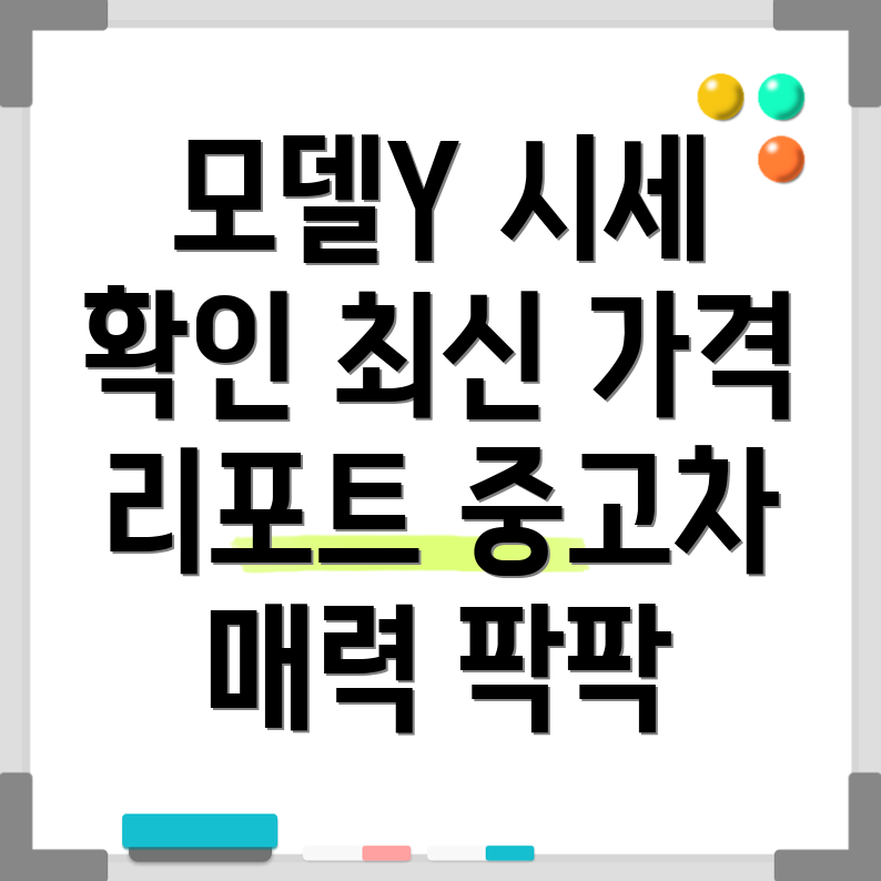 테슬라 모델 Y 중고차 가격