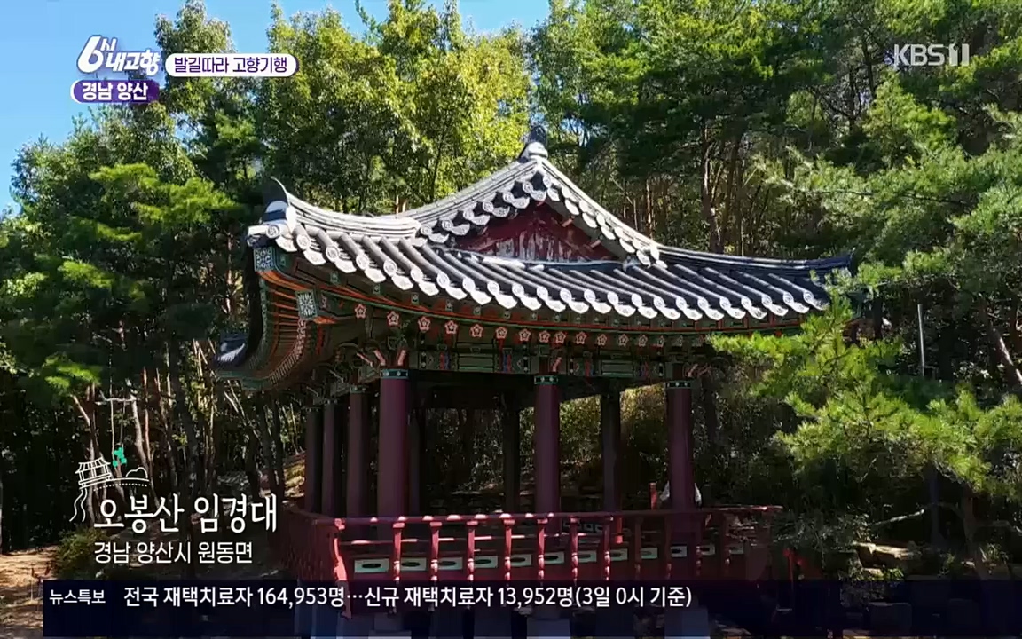 6시 내고향.E7630.221004p.H264-F1RST.mp4_20221004_213254.694.jpg