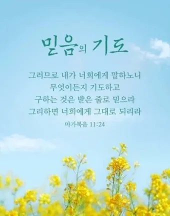 씨 뿌리는 자의 바유 마가복음 성경 묵상_22