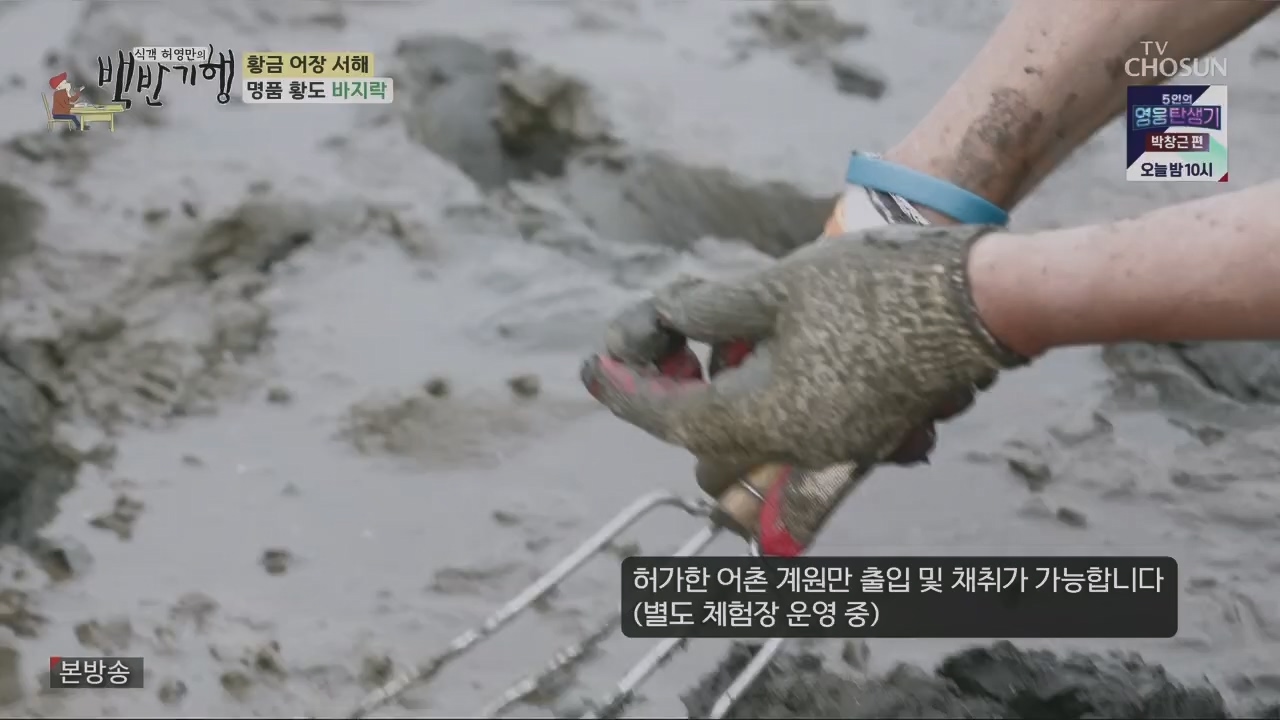 식객 허영만의 백반기행.E201.230520p.H264-F1RST.mp4_20230520_170641.885.jpg