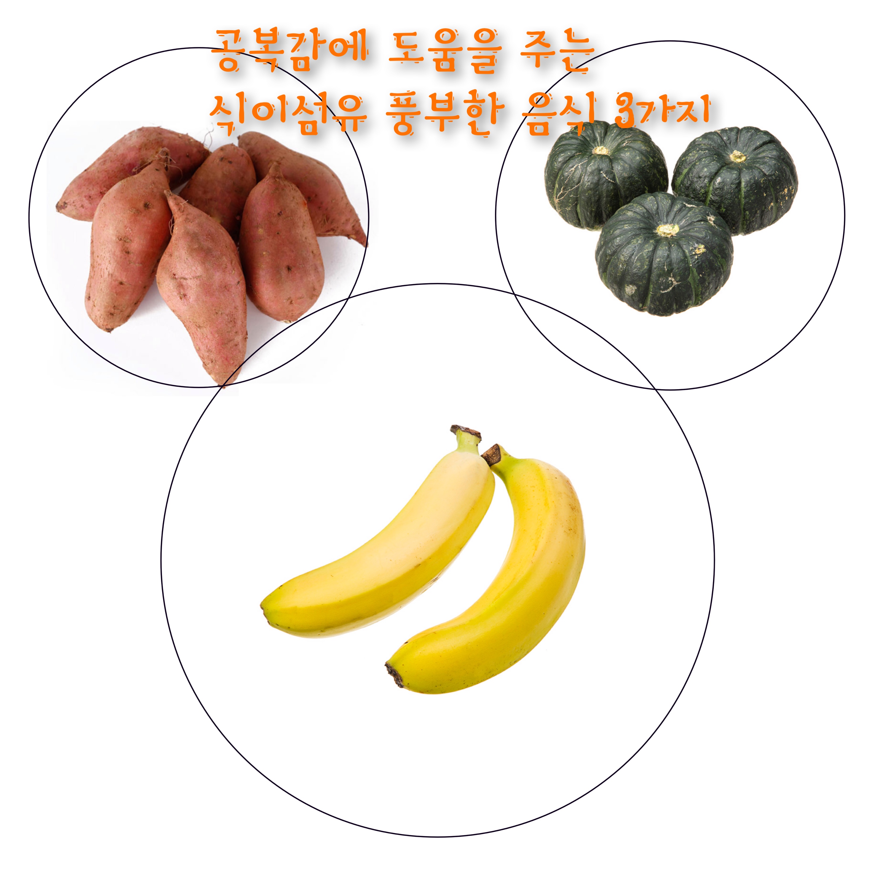  공복감에 도움을 주는 식이섬유 풍부한 음식 3가지