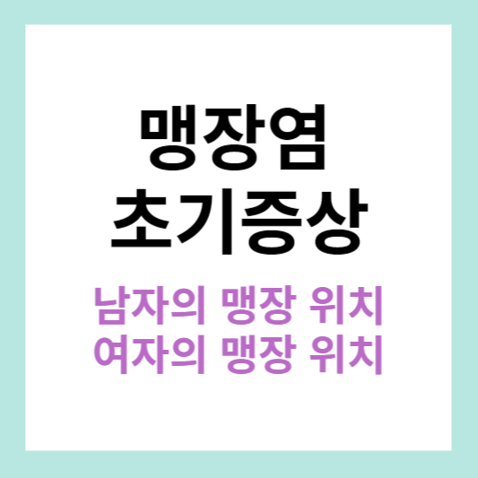 맹장염 초기증상 이미지