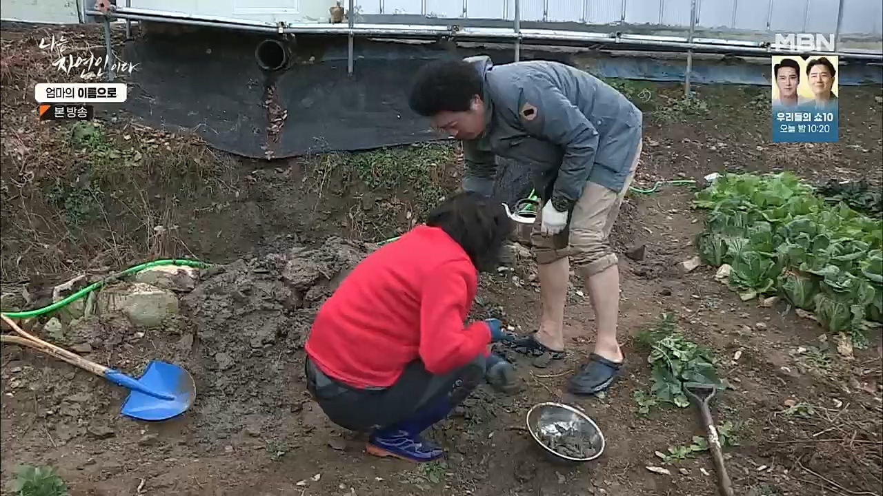 나는 자연인이다.E531.221208p.H264-F1RST.mp4_20221208_204239.308.jpg