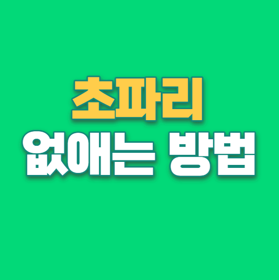 초파리 없애는 방법