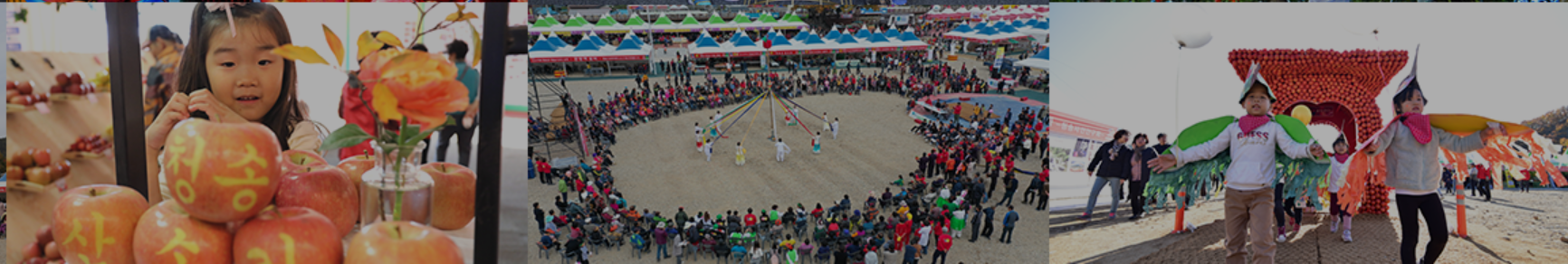 청송-사과축제