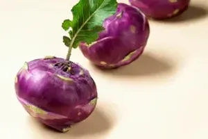 콜라비