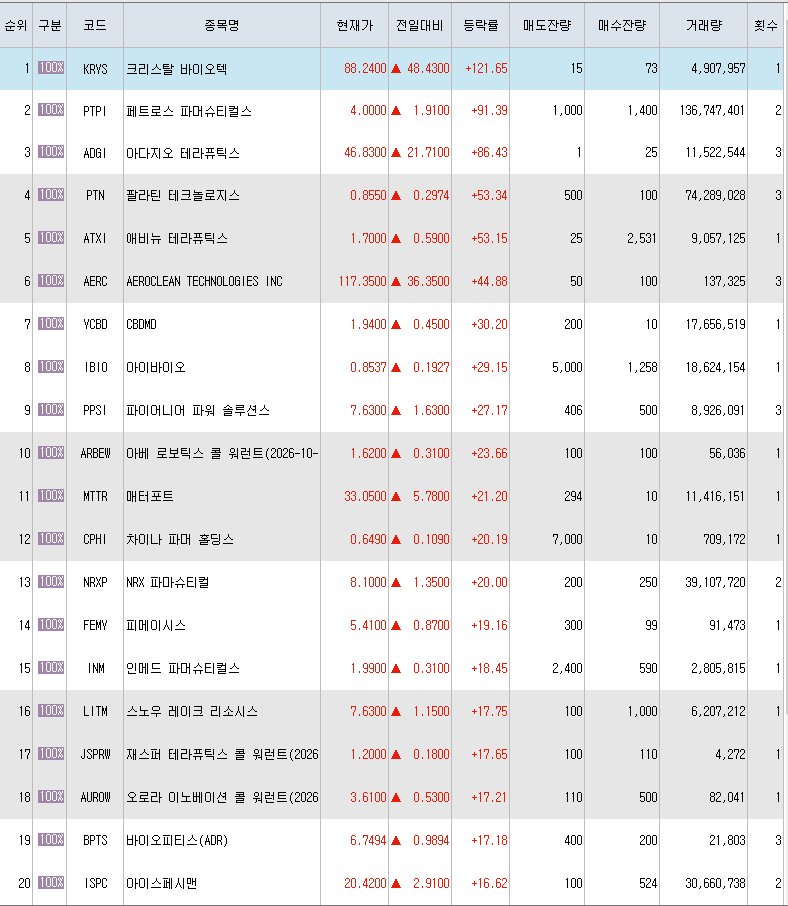  11월29일 미국주식 상승률 상위 종목 TOP 300