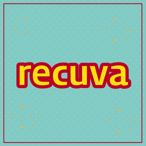 recuva